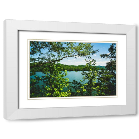 Ocoee Summer 3 White Modern Wood Framed Art Print with Double Matting by Malone, Will