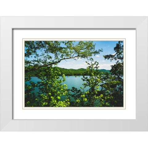 Ocoee Summer 3 White Modern Wood Framed Art Print with Double Matting by Malone, Will