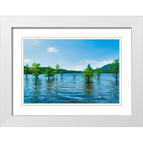 Ocoee Summer 4 White Modern Wood Framed Art Print with Double Matting by Malone, Will