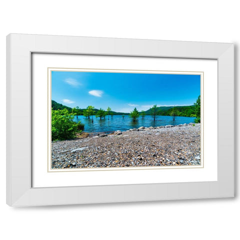 Ocoee Summer 5 White Modern Wood Framed Art Print with Double Matting by Malone, Will