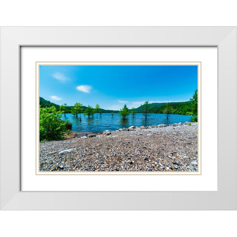 Ocoee Summer 5 White Modern Wood Framed Art Print with Double Matting by Malone, Will