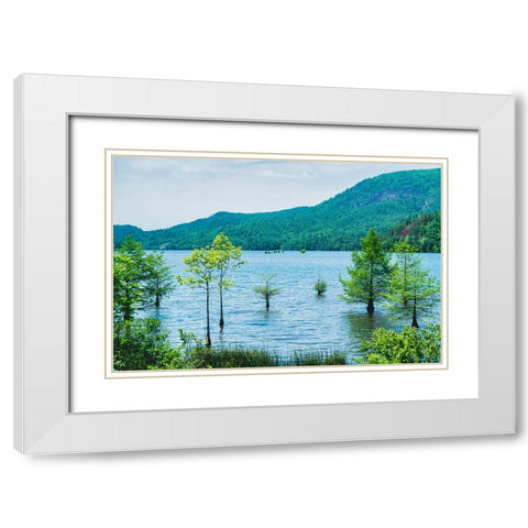 Ocoee Summer 6 White Modern Wood Framed Art Print with Double Matting by Malone, Will