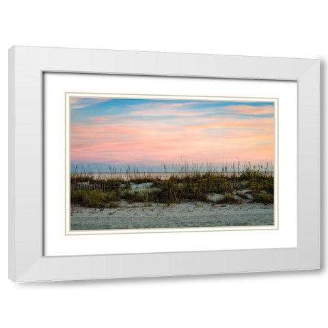 Over the Fence 2 White Modern Wood Framed Art Print with Double Matting by Malone, Will