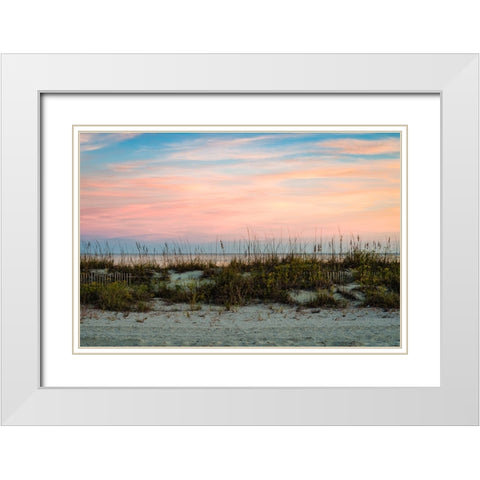 Over the Fence 2 White Modern Wood Framed Art Print with Double Matting by Malone, Will