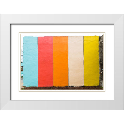 Picnic Mural 2 Watermark White Modern Wood Framed Art Print with Double Matting by Malone, Will