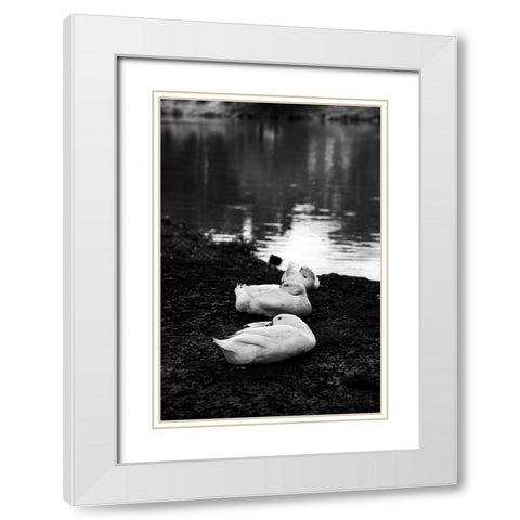 Rainy Day Nap White Modern Wood Framed Art Print with Double Matting by Malone, Will