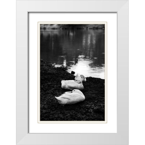 Rainy Day Nap White Modern Wood Framed Art Print with Double Matting by Malone, Will