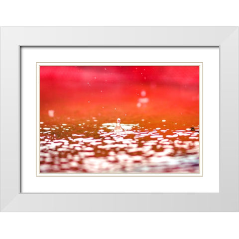 Red White Modern Wood Framed Art Print with Double Matting by Malone, Will
