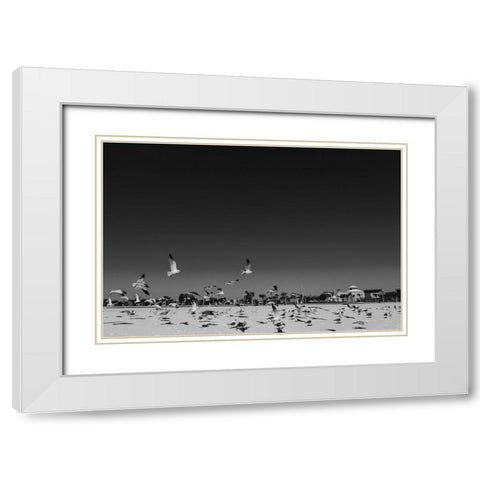 Seagulls 3 White Modern Wood Framed Art Print with Double Matting by Malone, Will