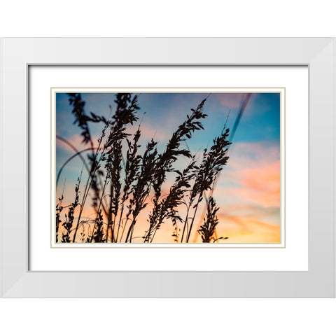 Shadow Grass White Modern Wood Framed Art Print with Double Matting by Malone, Will