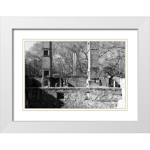 Tanglewood 1 White Modern Wood Framed Art Print with Double Matting by Malone, Will