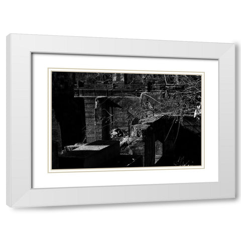 Tanglewood 2 White Modern Wood Framed Art Print with Double Matting by Malone, Will