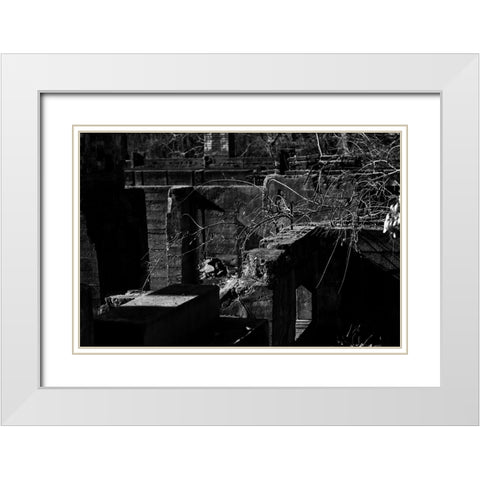 Tanglewood 2 White Modern Wood Framed Art Print with Double Matting by Malone, Will