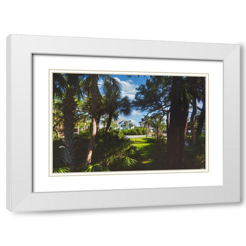 Tarpon White Modern Wood Framed Art Print with Double Matting by Malone, Will