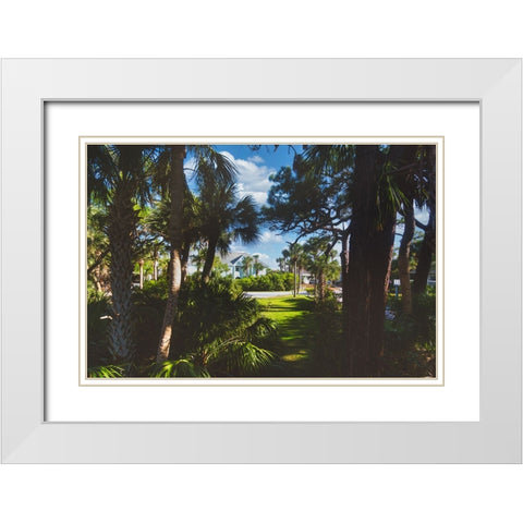 Tarpon White Modern Wood Framed Art Print with Double Matting by Malone, Will