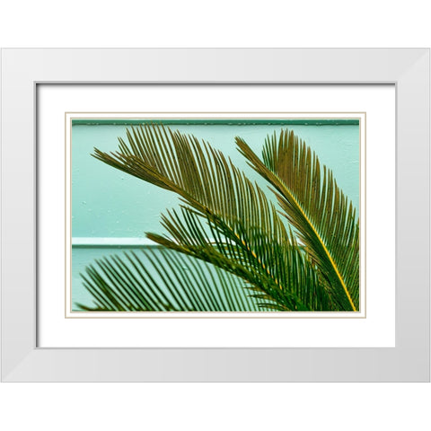 Teal Fern 2 White Modern Wood Framed Art Print with Double Matting by Malone, Will