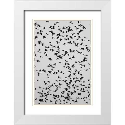 The Birds 2 White Modern Wood Framed Art Print with Double Matting by Malone, Will