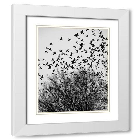 The Birds 3 White Modern Wood Framed Art Print with Double Matting by Malone, Will