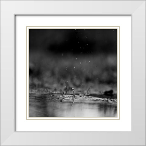 The Drop White Modern Wood Framed Art Print with Double Matting by Malone, Will