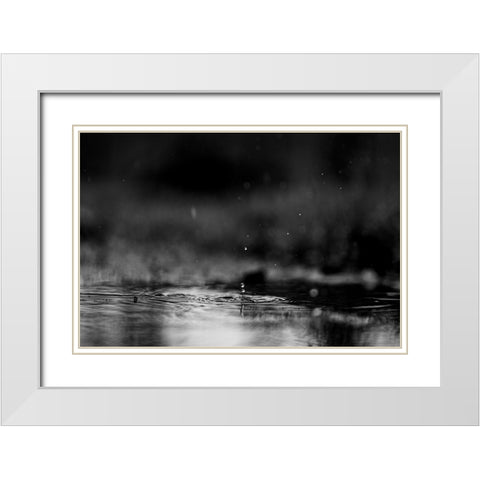 The Drop alternate White Modern Wood Framed Art Print with Double Matting by Malone, Will