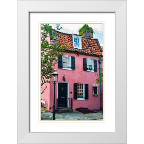 The Pink House White Modern Wood Framed Art Print with Double Matting by Malone, Will