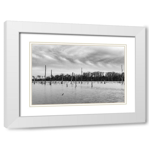Tired Creek Clouds White Modern Wood Framed Art Print with Double Matting by Malone, Will
