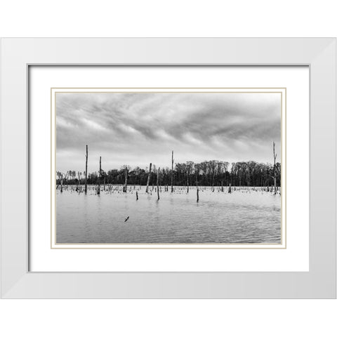Tired Creek Clouds White Modern Wood Framed Art Print with Double Matting by Malone, Will