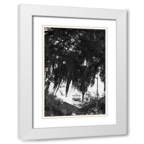 Tree Beard White Modern Wood Framed Art Print with Double Matting by Malone, Will