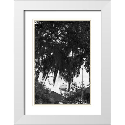 Tree Beard White Modern Wood Framed Art Print with Double Matting by Malone, Will