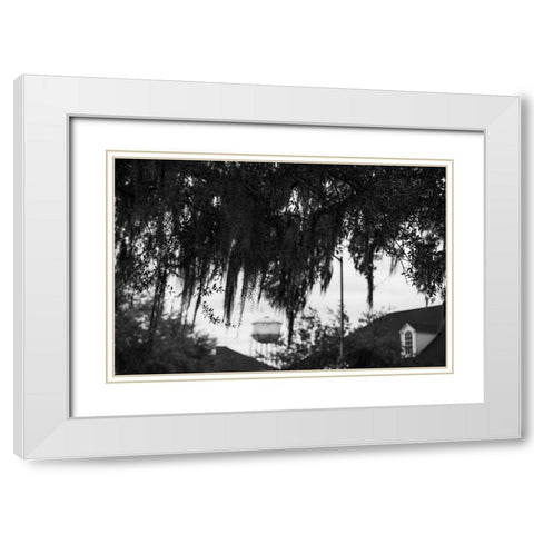 Tree Beard 2 White Modern Wood Framed Art Print with Double Matting by Malone, Will