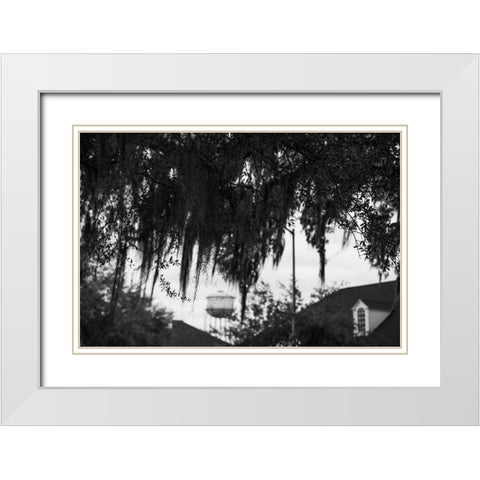 Tree Beard 2 White Modern Wood Framed Art Print with Double Matting by Malone, Will