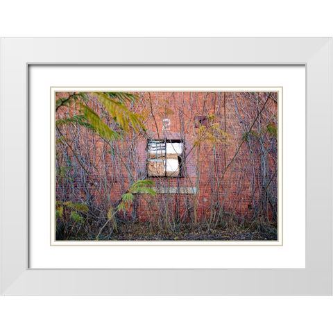 Two Web White Modern Wood Framed Art Print with Double Matting by Malone, Will