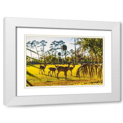 Wassup White Modern Wood Framed Art Print with Double Matting by Malone, Will