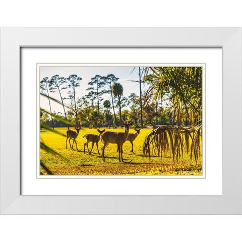 Wassup White Modern Wood Framed Art Print with Double Matting by Malone, Will
