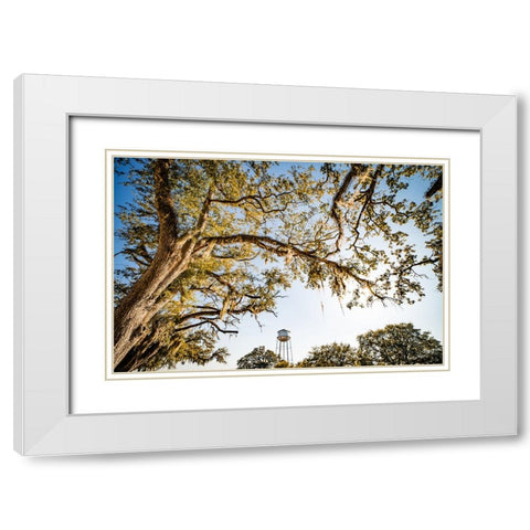 Watertower 4 White Modern Wood Framed Art Print with Double Matting by Malone, Will