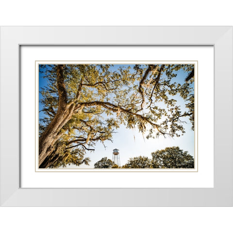 Watertower 4 White Modern Wood Framed Art Print with Double Matting by Malone, Will