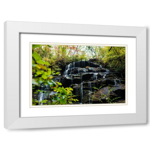 Yellow Branch 1 White Modern Wood Framed Art Print with Double Matting by Malone, Will