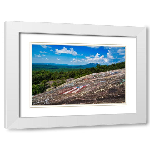 American Bald Horizontal White Modern Wood Framed Art Print with Double Matting by Malone, Will