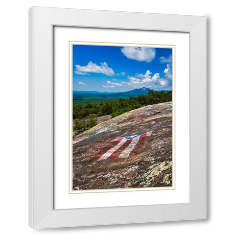 American Bald White Modern Wood Framed Art Print with Double Matting by Malone, Will