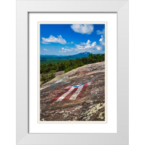 American Bald White Modern Wood Framed Art Print with Double Matting by Malone, Will