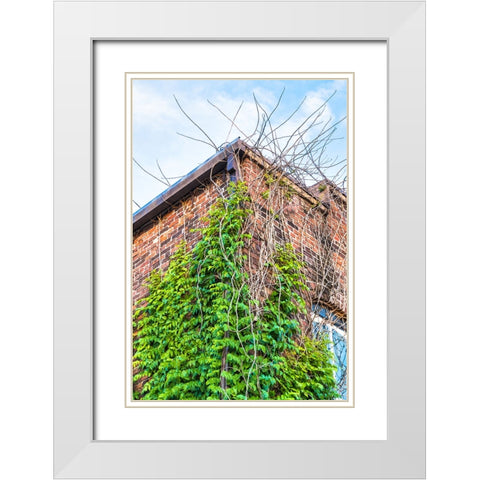 Corner 4 White Modern Wood Framed Art Print with Double Matting by Malone, Will