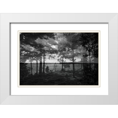 Lake Hartwell III White Modern Wood Framed Art Print with Double Matting by Malone, Will