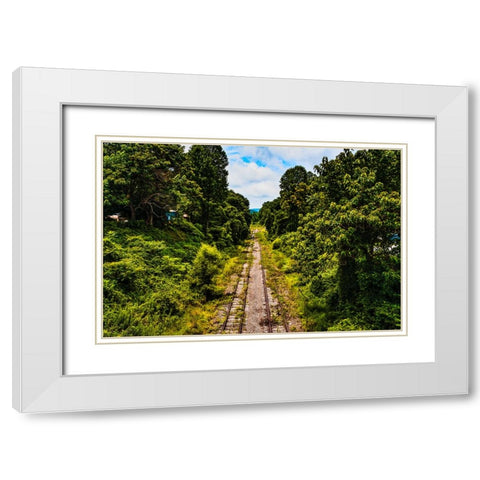 Overgrowth 2 White Modern Wood Framed Art Print with Double Matting by Malone, Will