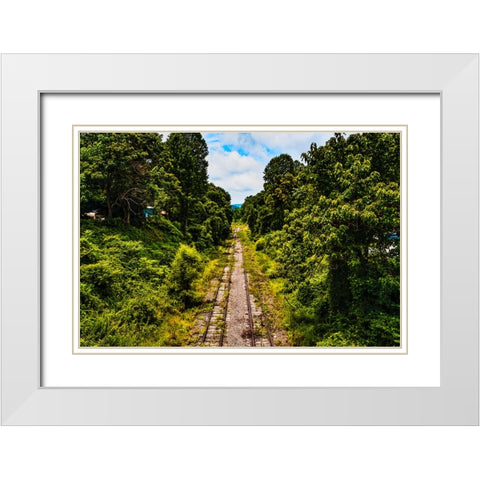 Overgrowth 2 White Modern Wood Framed Art Print with Double Matting by Malone, Will