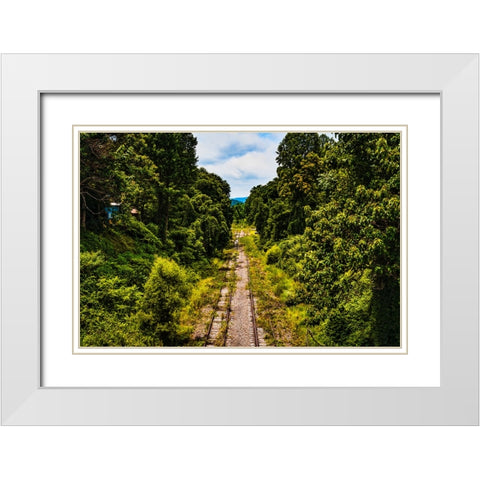 Overgrowth 3 White Modern Wood Framed Art Print with Double Matting by Malone, Will