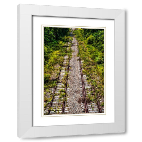 Overgrowth 4 White Modern Wood Framed Art Print with Double Matting by Malone, Will