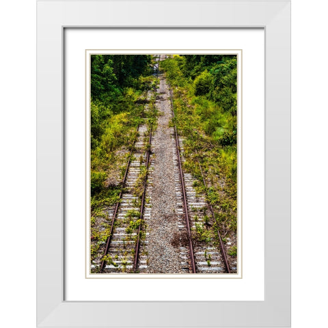 Overgrowth 4 White Modern Wood Framed Art Print with Double Matting by Malone, Will