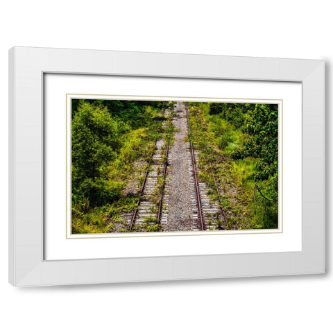 Overgrowth  White Modern Wood Framed Art Print with Double Matting by Malone, Will