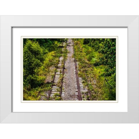 Overgrowth  White Modern Wood Framed Art Print with Double Matting by Malone, Will