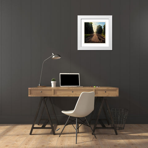 Road in the Woods 2 White Modern Wood Framed Art Print with Double Matting by Screendoor